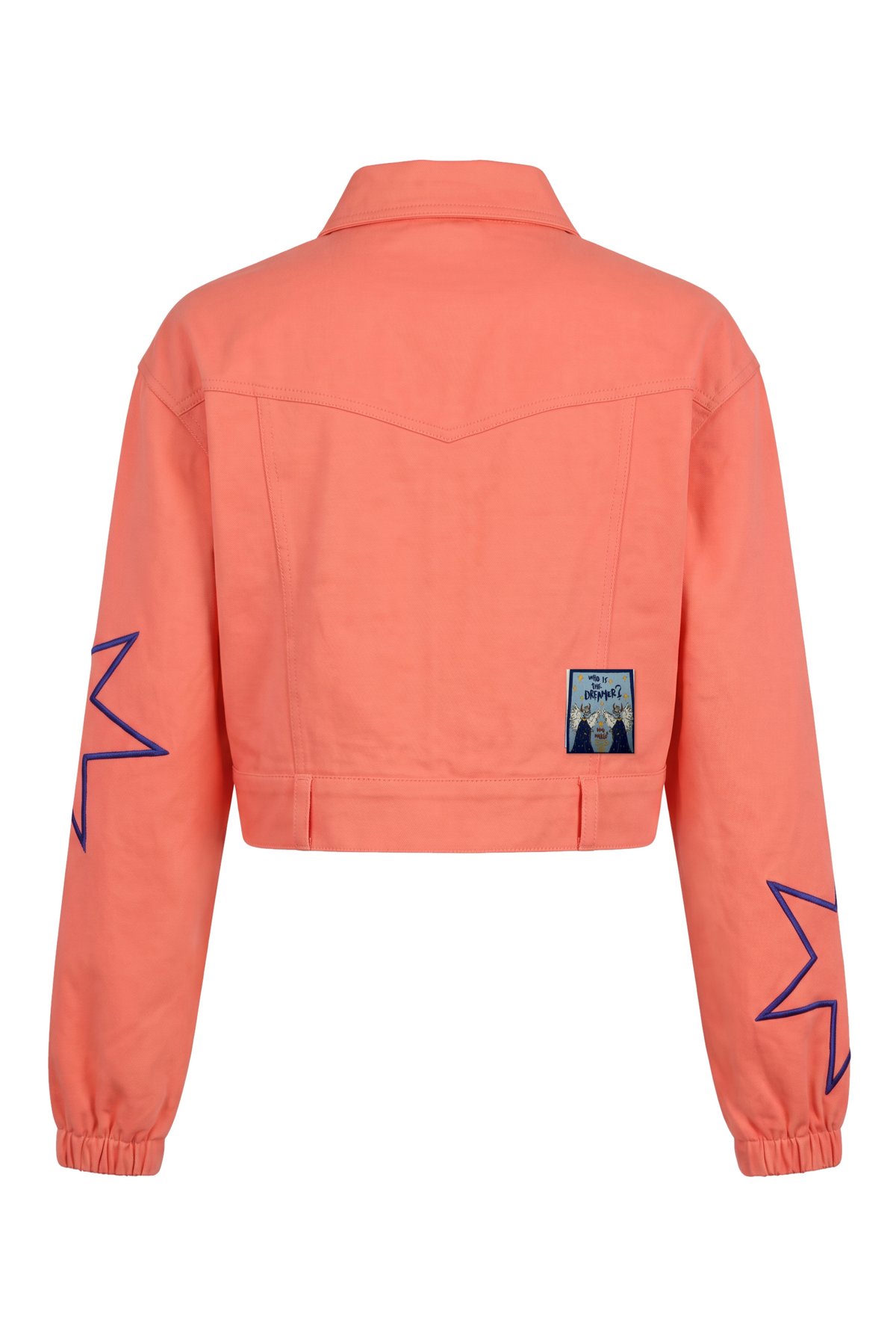 REALM OF DREAMS CROP CEKET - PEMBE - arka